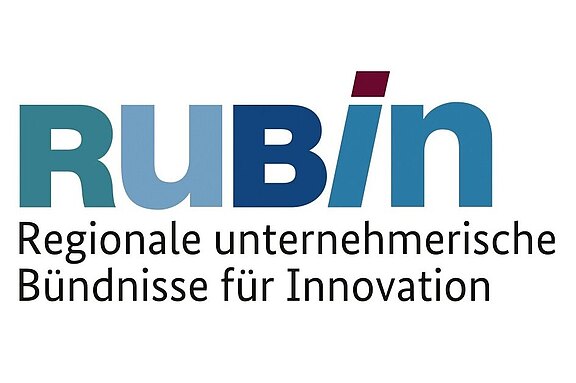 RUBIN-Logo.jpg